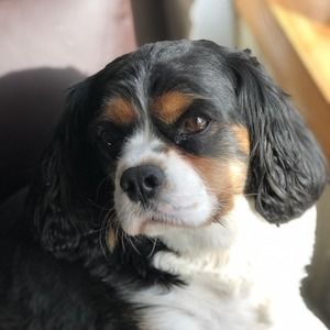 Meet your Posher, Beverly